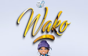 AUDIO | Dj Man Kiddy – WAKO | Download AUDIO Dj Man Kiddy – WAKO Download DJ MULI