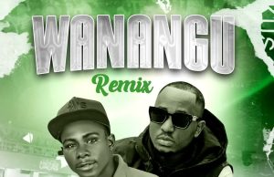AUDIO | Snake Voice Ft. Bando mc – Wanangu remix | Download AUDIO Snake Voice Ft. Bando mc – Wanangu remix Download DJ MULI