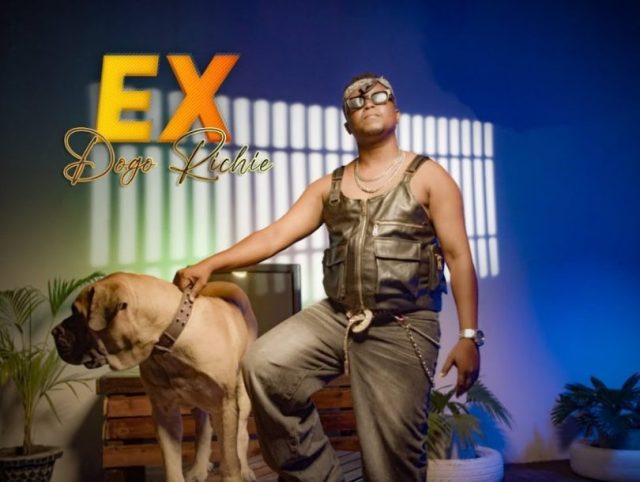 AUDIO Dogo Richie – Ex Download DJ MULI