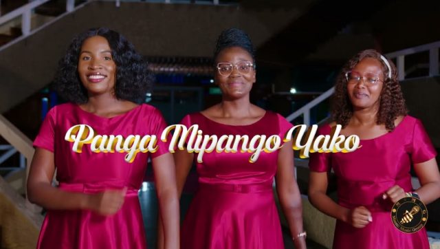 AUDIO Msanii Music Group – Panga Mipango Yako Download DJ MULI