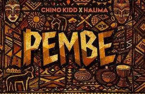 AUDIO Chino Kidd Ft Halima – Pembe Download AUDIO Chino Kidd Ft Halima – Pembe Download DJ MULI