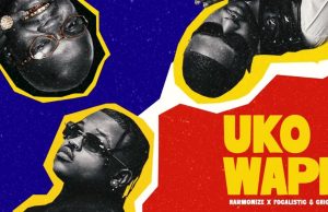 AUDIO Harmonize Ft Focalistic & Chicco – Uko Wapi Download AUDIO Harmonize Ft Focalistic & Chicco – Uko Wapi Download DJ MULI