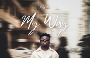 Aslay – Vigezo