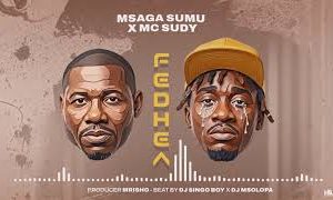 Msaga Sumu Ft Mc Sudy – Fedhea