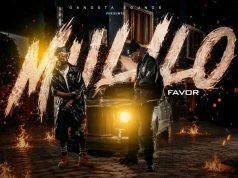 Selemanyo Ft Mr Apo – Mulilo Favor